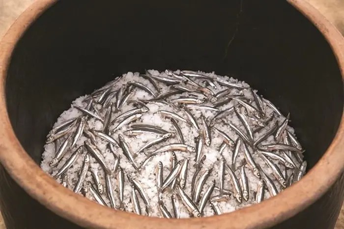 جزيرة فو كوك في فيتنام تُحوّل صلصة السمك التقليدية إلى علامة تجارية&nbsp;عالمية